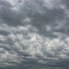 Hearts Under The Overcast