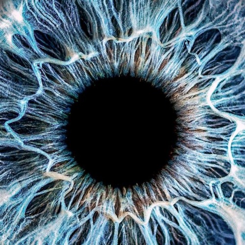 ₙᵢcₑ gᵢᵣₗₛ