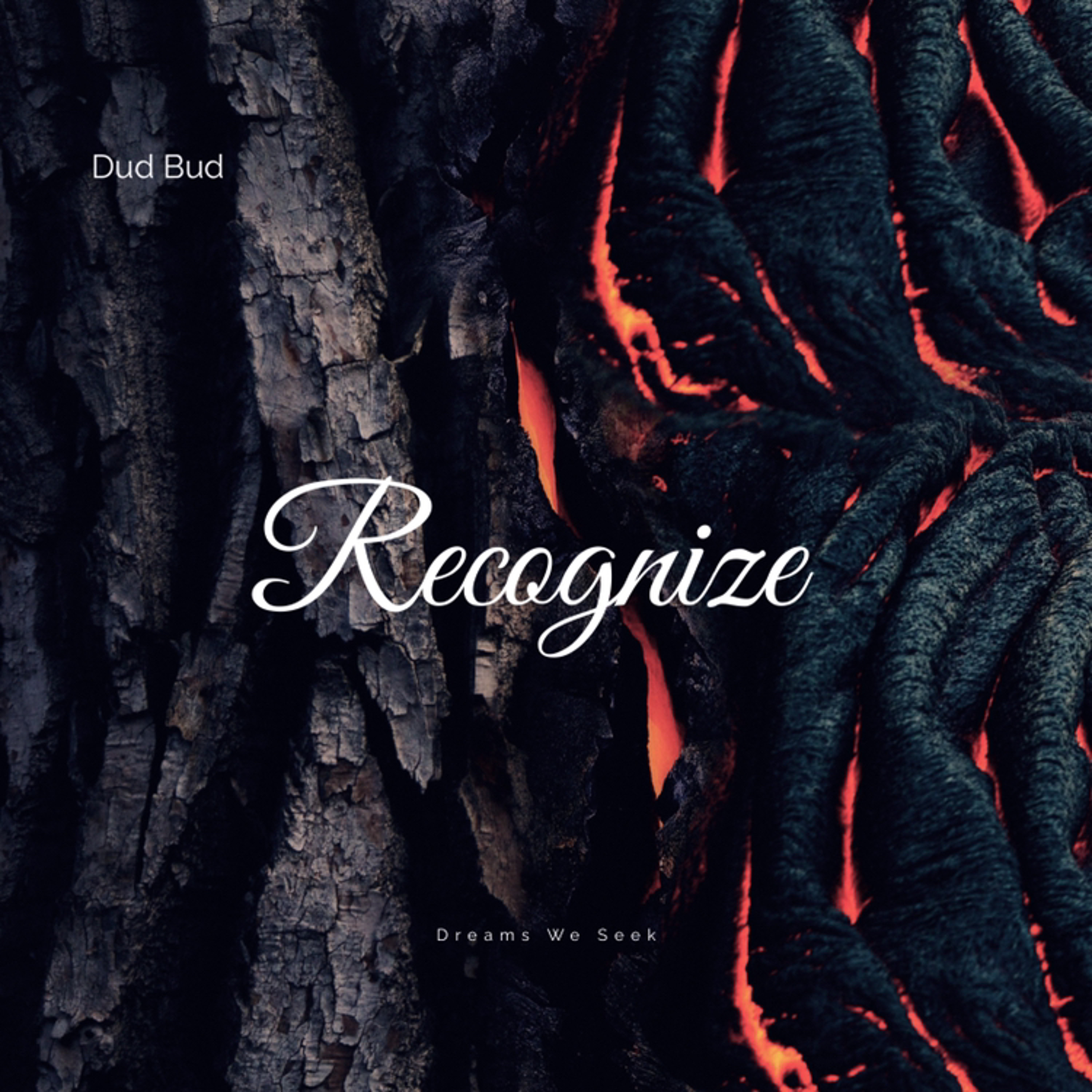 Recognize episode artwork