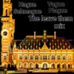 Hague Schmague Vague Plague (Leave them alone mix) 06/02/2024