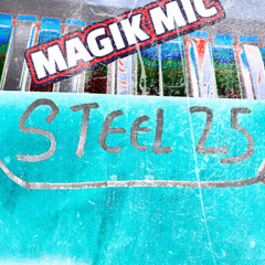 MAGIK MIC - STEEL 25