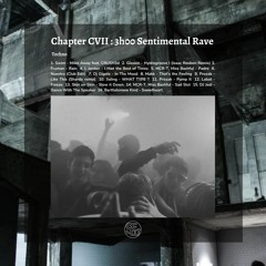 Chapter CVII : 3h00 Sentimental Rave