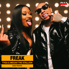 Tyga Ft. Megan Thee Stallion - FREAK (9AM Remix)