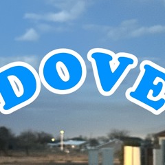Dove (Caution - PLEASE DO NOT BOOTLEG).m4a