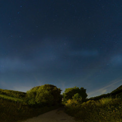 ORTF Field Recording Night Session 2 Hours in Tuscany Countryside 1/8/2025