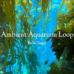 Ambient Aquarium Loop