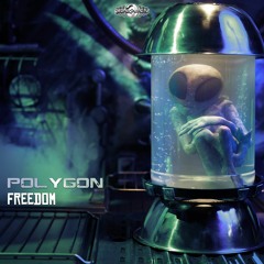 Polygon - Freedom (​geosp091 - Geomagnetic Records)