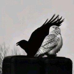 ##MyFitRawNoFlicksDoe x Gurner [Glauque]