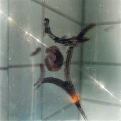 bubble bass (SUPERGOOD Remix)