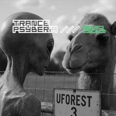Trance Psyberia /// LIVE @ UFOREST, 07.05.2025.