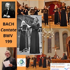 BACH Cantate BWV 199 Air Final