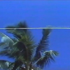 ＰＡＬＭ ＣＩＴＹ 「with 猫 シ Corp.」