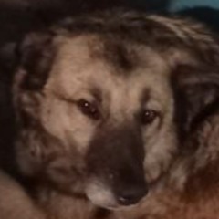 Бесполезный