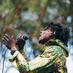 ETINSEL MALOYA - AYO MALGASHYNN'