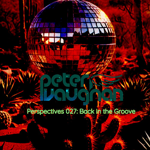 Perspectives 027: Back in the Groove