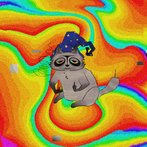 procyon glitch