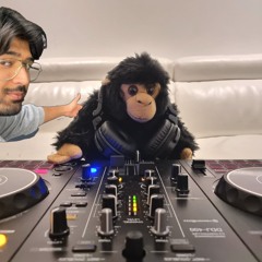Monkey business | house mix 5