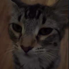 not around // wussup