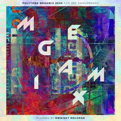 Various Artists - polytone Megamix 2020