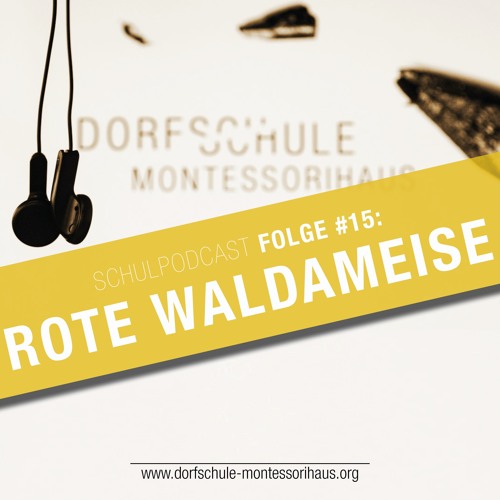 #15 Rote Waldameise - Dorfschule Montessorihaus