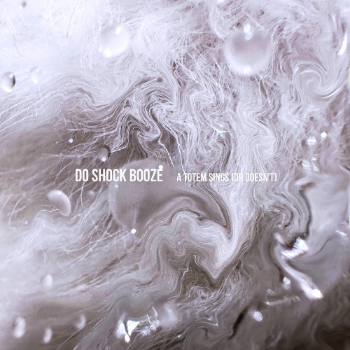 DO SHOCK BOOZE - A totem sings [or doesn't] [TTDG100]