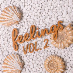 Feelings Vol.2
