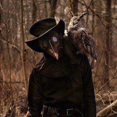 into the woods