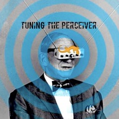 Tuning the Perceiver