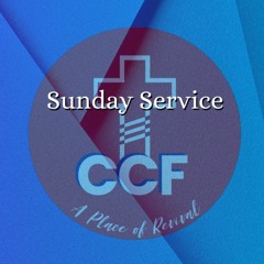 Complacency - Bob Kotlarz