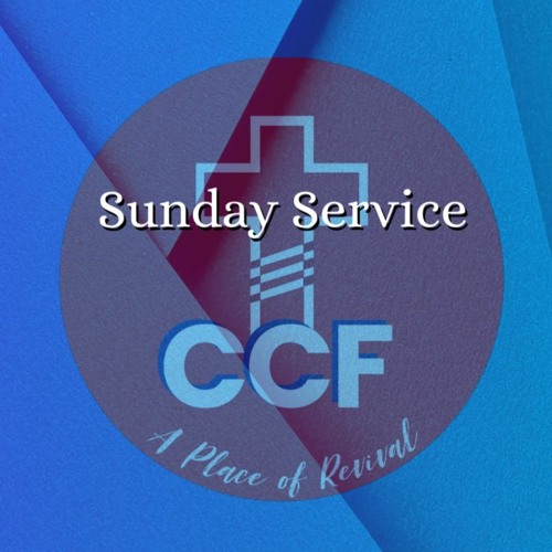 Complacency - Bob Kotlarz