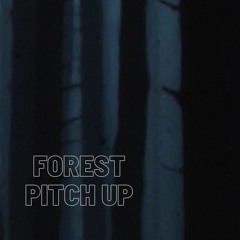 160 Bpm Goa Forest Pitch Up Mix