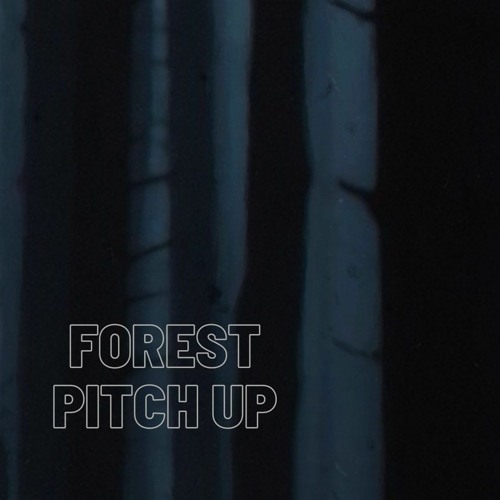 160 Bpm Goa Forest Pitch Up Mix