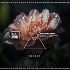 You Got The Love (Santify Mix) - Steve Tosi