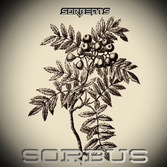 Sorbeats- Sorbus