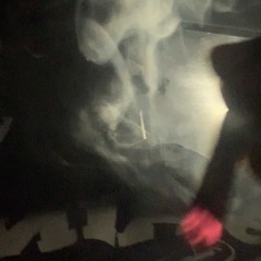 I Needa Bankroll X 6lueskv