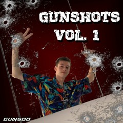 GUNSHOTS VOL.1 {TRACKLIST🔓}
