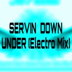 SER  VIN - Down Under  (Electro Mix)