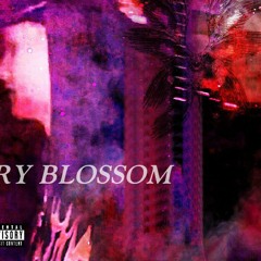 CHERRY BLOSSOM