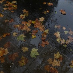 2in1 +haeun (me) #digicore