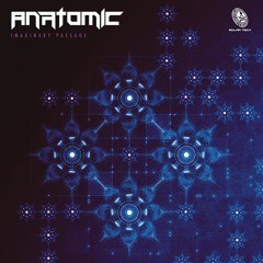 Anatomic - Imaginary Passage