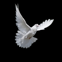 This Year (prod.nate22 x zvanz)