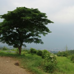 This Can't Be Expressed