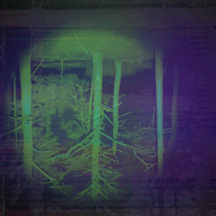 Leftside (with QUOATS)(prod. Daniel Wayne)*leak*