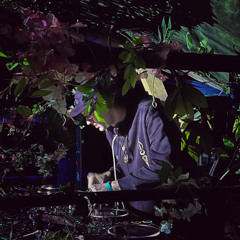 Synera Live @ Altitude Music Festival 2025