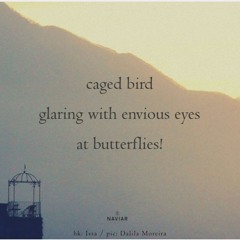 NAVIARHAIKU594_CAGED BIRD