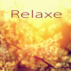 Relaxamento (Relaxar a Mente)