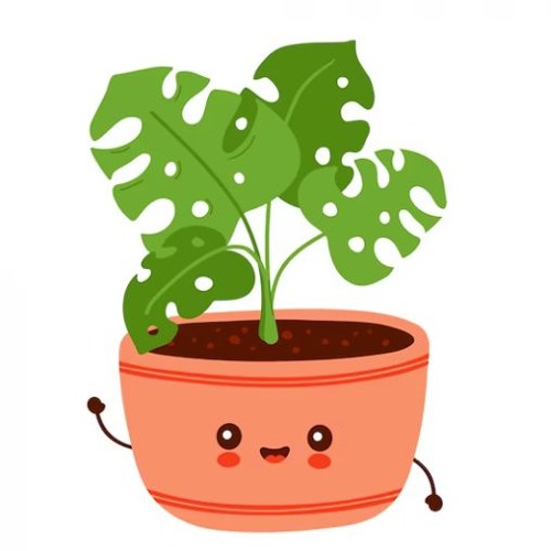 Botany (extended mix)