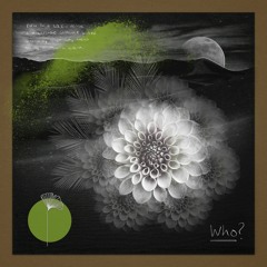 [PREMIERE] > DJ Chus, Rosewall - WHO Feat. TOSZ [Redolent Music]