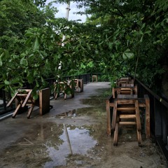 Ngô Thuỵ Miên - Mùa Thu Cho Em