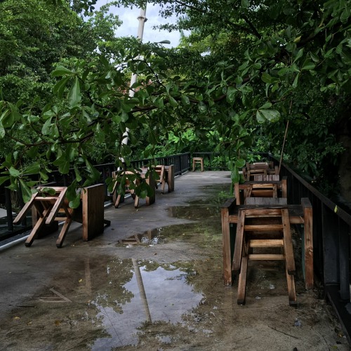 Ngô Thuỵ Miên - Mùa Thu Cho Em